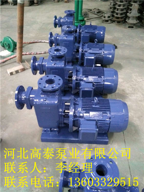 50ZX15-12耐腐蝕自吸泵