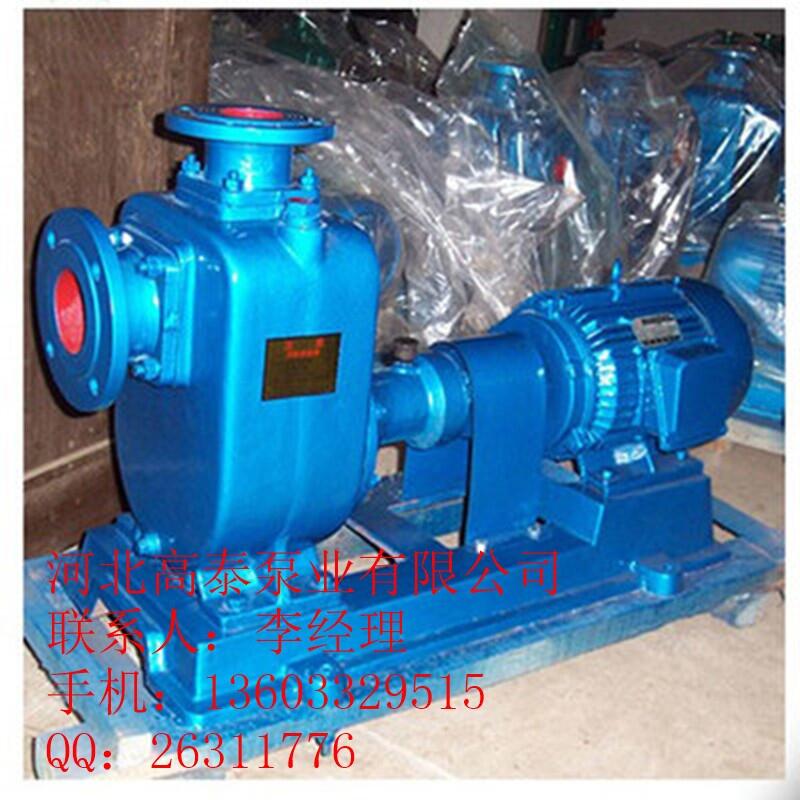 ZW250-420-20河北自吸排污泵 耐腐蝕排污泵