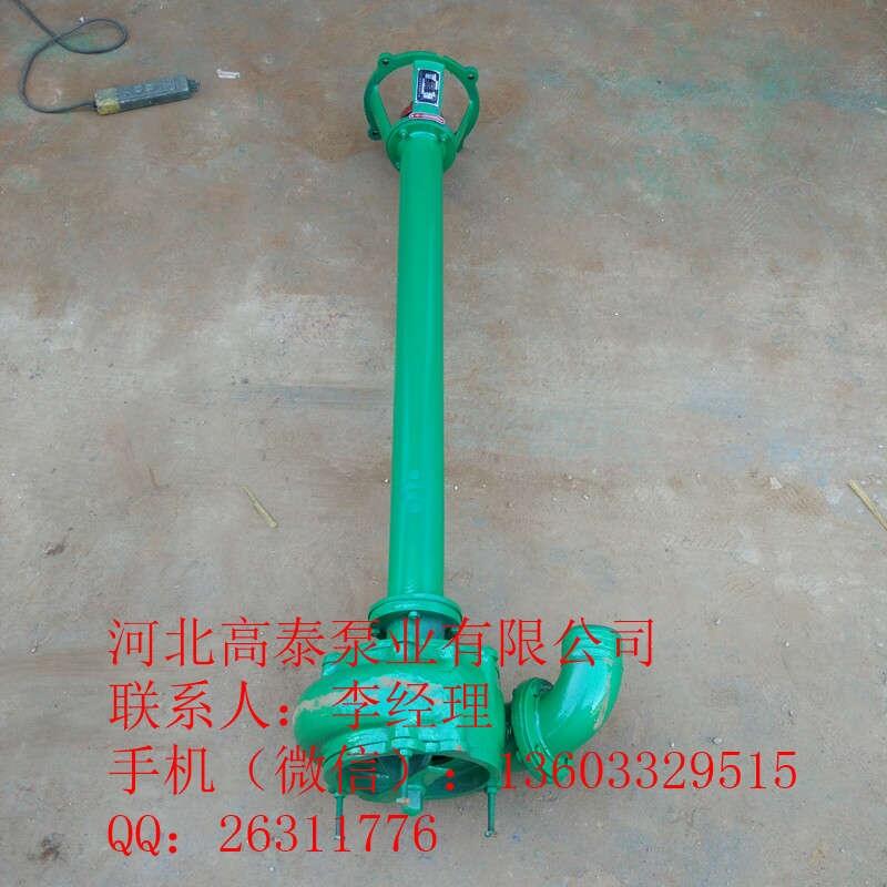 長(zhǎng)桿泵 40NWL立式污水泵 NWL污水泵批發(fā)